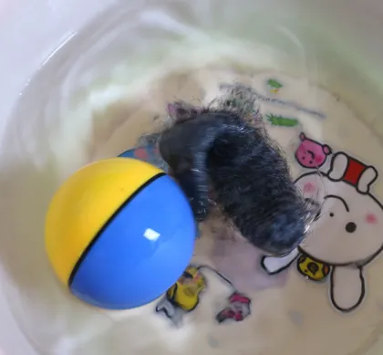 Hotsale Electric Roling Water Beaver Toys with Ball