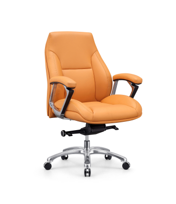 Office Household Rotating Ergonomic Office Chair