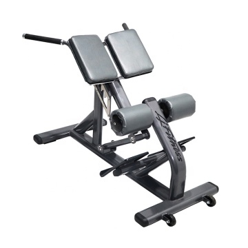 Bodybuilding Roman Chair Bench Back Extension Bench