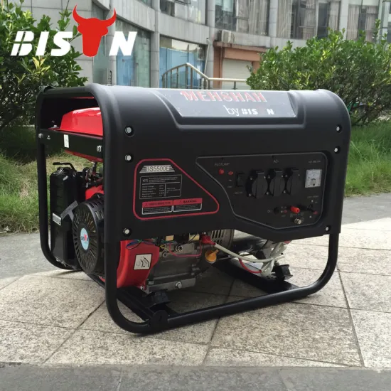 BISON(CHINA) Portable Power Silent Gasoline Generator For Sale
