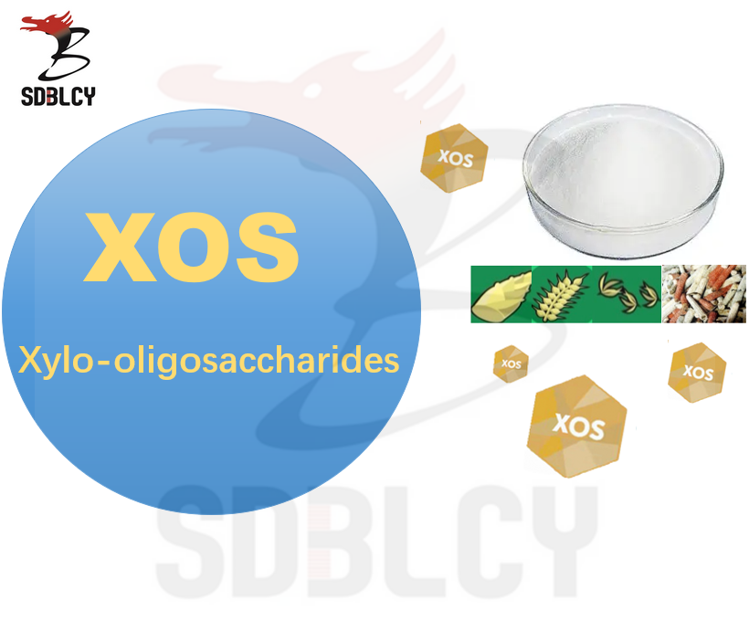 Ingrediente alimentar Xylo-oligosacarídeo XOS 35 em pó