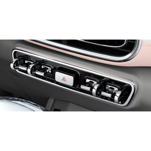 2023 Ora Ballet Cat 401 км премиум -издание