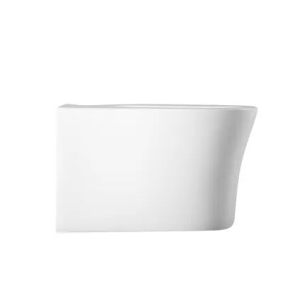 European Standard Wall-Mounted Women's Toilet Bidet