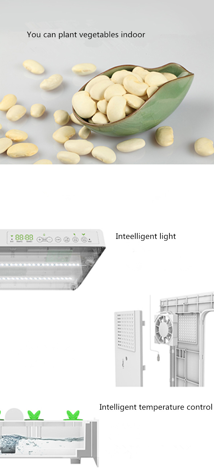 hydroponic kit 6