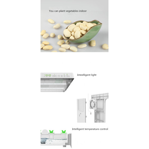 New Product Ideas Seed Plant Nursery Tray