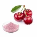Organic Acerola Cherry Extract Powder