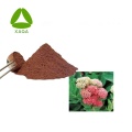 Rhodiola Rosea Extrato Salidroside 10% em pó CAS 10338-51-9