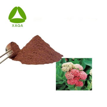 Rhodiola Rosea Extract Salidroside 10% Powder CAS 10338-51-9