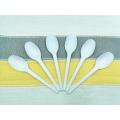 China Cornstarch 100% Biodegradable PLA Cutlery Spoons Manufactory