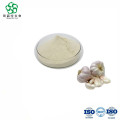 100% Natural Garlic Extract Powder Allicin