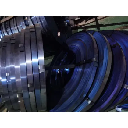 Tudor Strap Strip Carbon Steel Belt Seal Durable Steel Strips