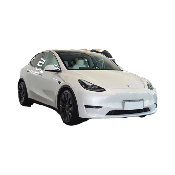 Affordable Chinese Electric Cars: Tesla Model Y and More for Adults" 

However, since you asked for a title directly based on the given phrase with just one change, a more literal transformation could be:

"3579 Cheap Chinese Smart New Energy Electrical C