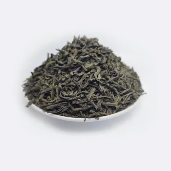 High-End Pu'er Dianqing Large Leaf Chunmee 9370, 9371, 9371AAA for Algeria, Morocco, and Sahara