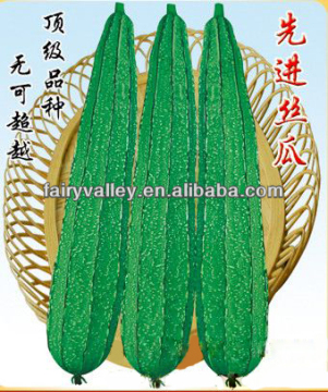 High Yield Hybrid Chinese Vegetable Seeds Ridge Luffa Seed/Ridge Loofah Seeds For Growing