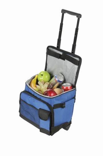 cooler bag on trolley