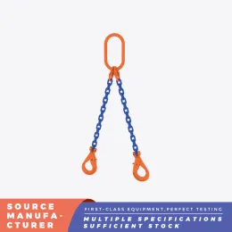 Drop Forged Two Leg Chain Sling