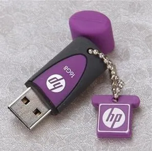 china hp usb V245W