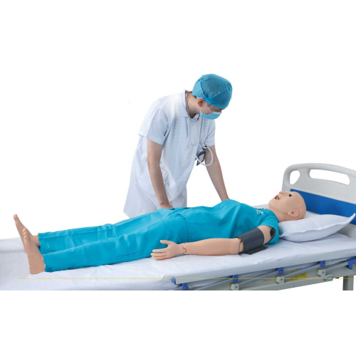 Evaluate Vital Signs Vital Signs & Trauma Evaluation Nursing Manikin Supplier