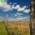 Reverse Twist Military Protecting Fence Barbed Wire