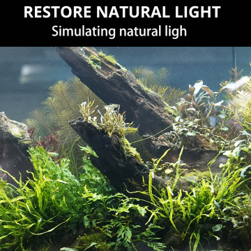 ZJL-60A White Blue Fish Tank Aquarium Lamp 11W