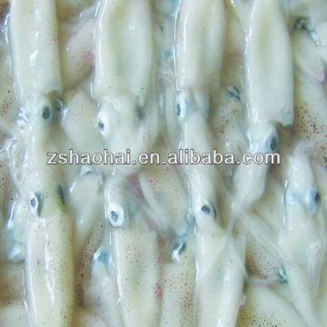 Frozen squid(Loligo Chinese) 3/6cm