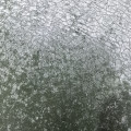 Tôle d'acier au fini mat avec motif craquelé