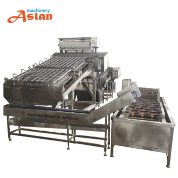 Shrimp Peeler and Deveiner Machine