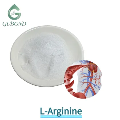 L-Arginine Powder for Sports Nutrition & Circulation Support