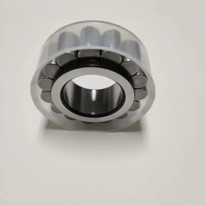 RSL  Planetary Gear Bearing