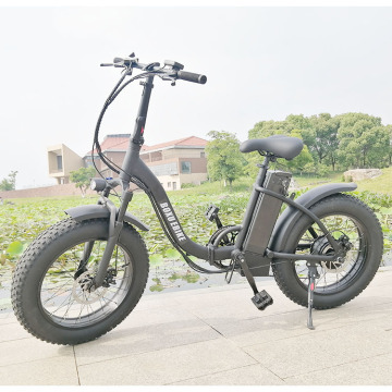 دراجة كهربائية قابلة للطي 20 بوصة قابلة للطي: تجربة ebike المحمولة النهائية