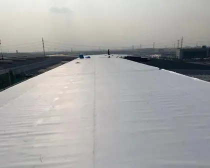CFS Building Material TPO Waterproofing Membrane