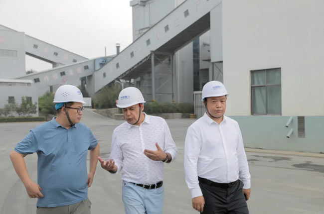 DLPCZ Heavy Hammer Crusher