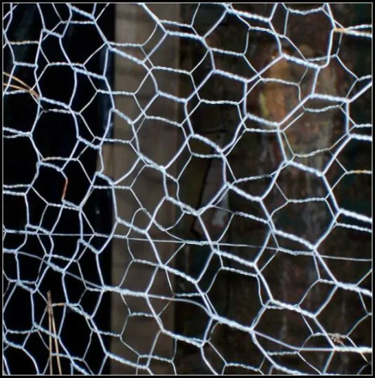 Professional manufacturer of Gabion basket,Low Price+Free samples