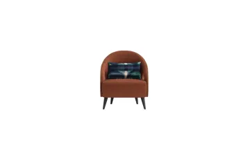Modern lounge chair leather lounge chair