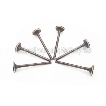 CA6110 CA4110 Exhaust Valve for Forklifts and Wheel Loaders - 1007011-24D
