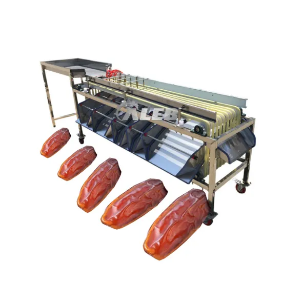 Automated Grading and Classification Machine for Various Fruits including Tomatoes, Strawberries, Blueberries, Jujubes, and Dates