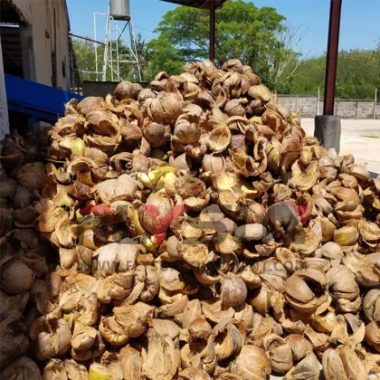 Hemp Fiber Extracting Equipment | Palm Fiber Making Machine | Coconut Shell Fiber Separation Equipment