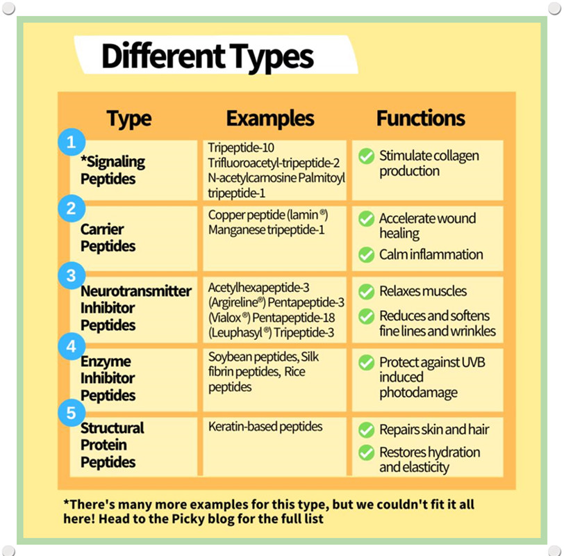 effect of copper tripeptide