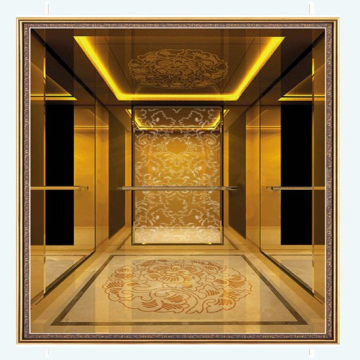 Luxaury Design Elevator For Commercial Buildings