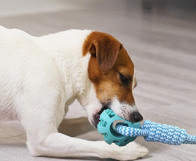 Rope Tugging & Ball Chew Dog Toy