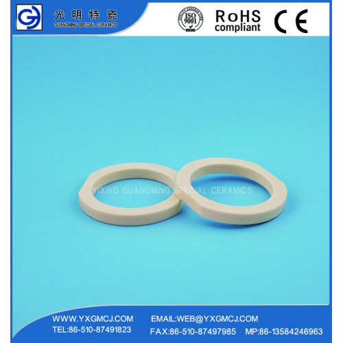 Al2O3 Ceramics Anticorrosive Advanced 99 Alumina Ceramic Sealing Ring Manufactory