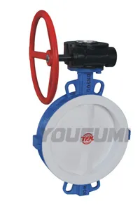Fully PTFE lined Butterfly Valve Worm gear type