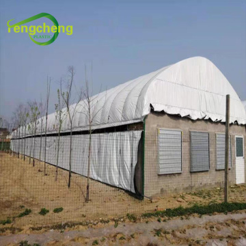 8mil Uv Plastic Panda Film Greenhouse Fabric Film