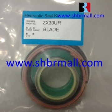 Hitachi Mini Excavator ZX30 Blade Seal Kit Replacement Guide