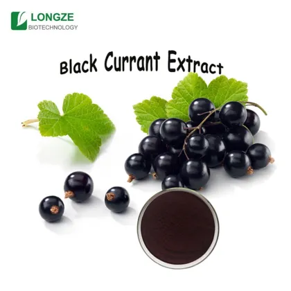 Black Currant Extract Powder