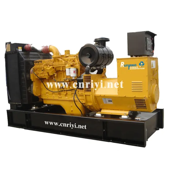 Shanghai 300kw Diesel Generator Set open type