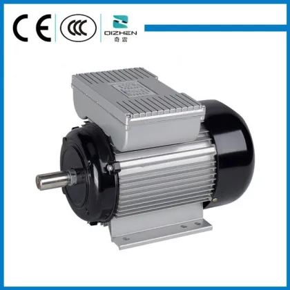YL series single-phase Micro Wave Electric Motor