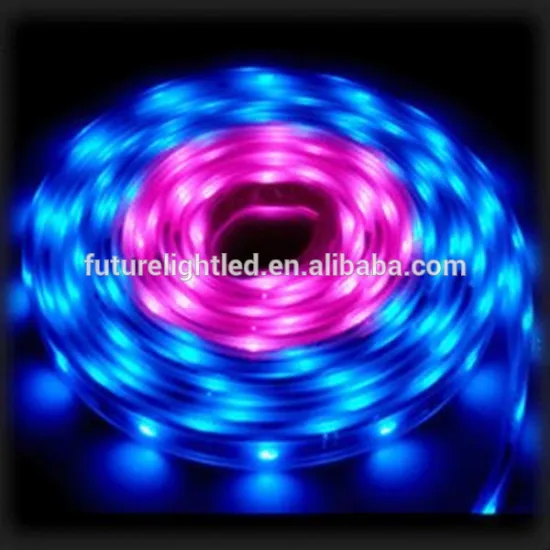 IP65 flexible 5050 RGB Christmas lighting led strip light