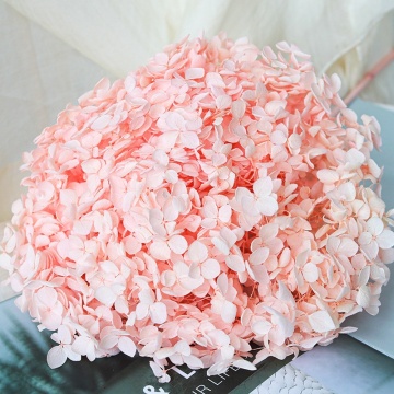 Sakura Dry Flower Arrangements and Other Decorative Plants for Wedding and Home Decor