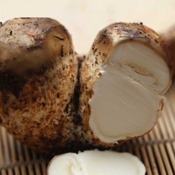 Wholesale Top Quality Old Head Mushroom